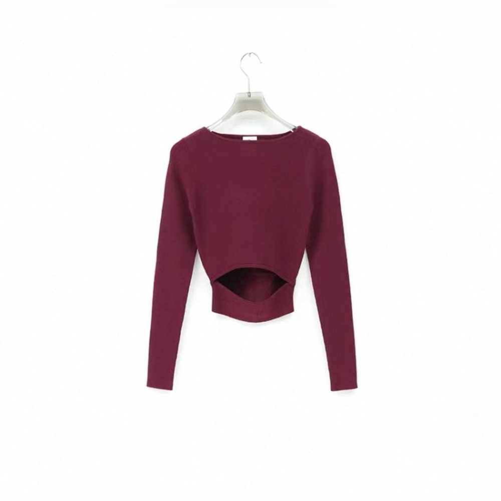 New Aritzia Wilfred Cut off Knit Long Sleeve